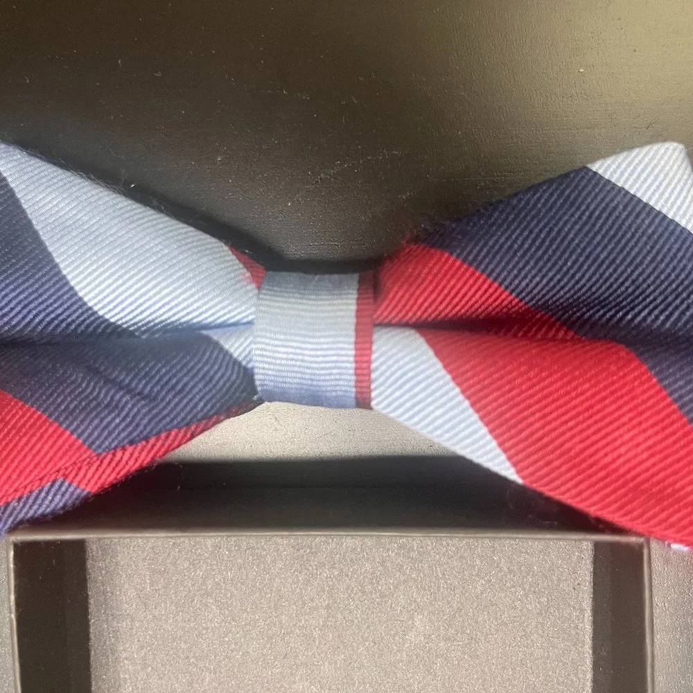 Men's Bowtie Striped (Adjustable/OS) Business/Professional